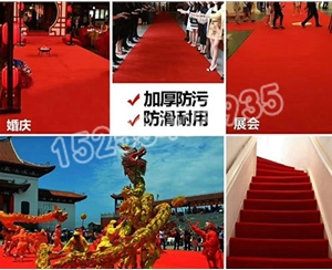 广东广东展览地毯